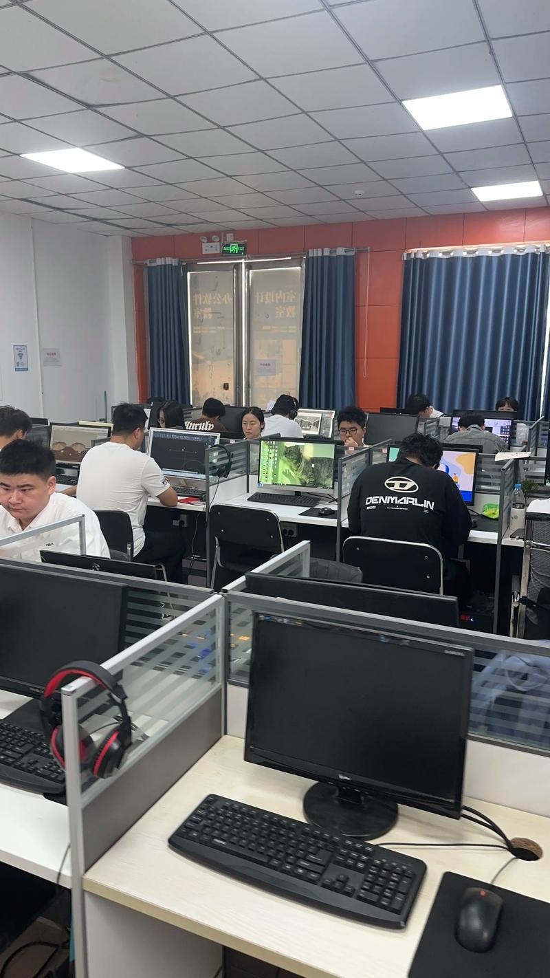 定制软件系统：企业发展的新航标
